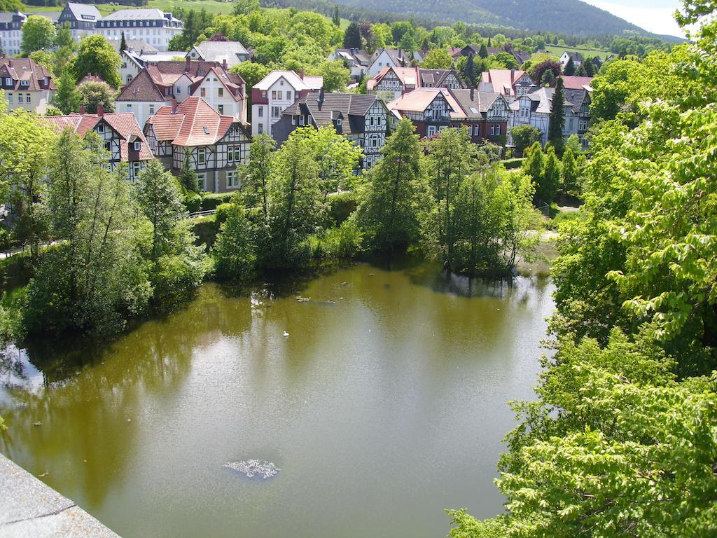 Ferienwohnungen Burg Im Zwinger Goslar Zewnętrze zdjęcie